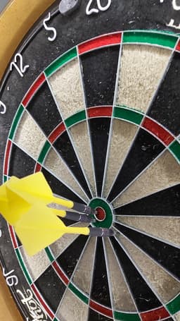 Target Japan Phil Taylor Power Gen 10 Super Darts Edition 95% Soft